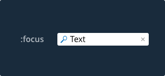 search focus